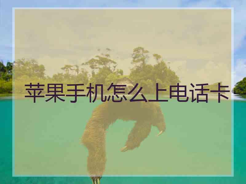 苹果手机怎么上电话卡