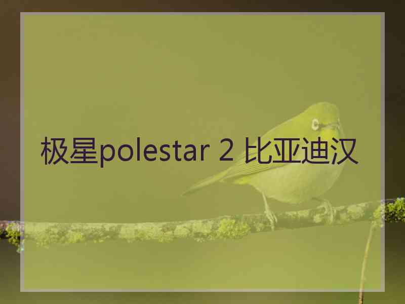 极星polestar 2 比亚迪汉