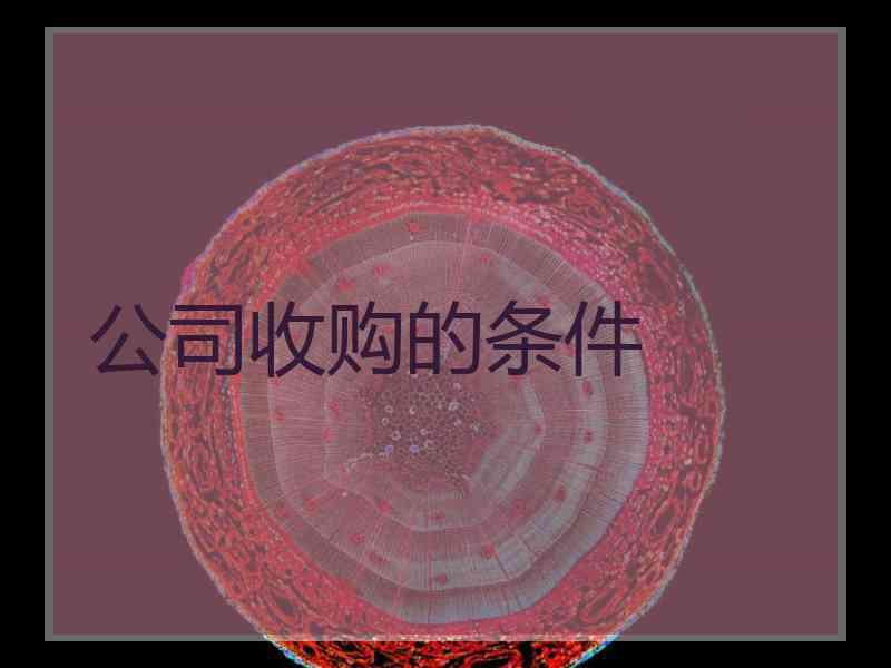 公司收购的条件