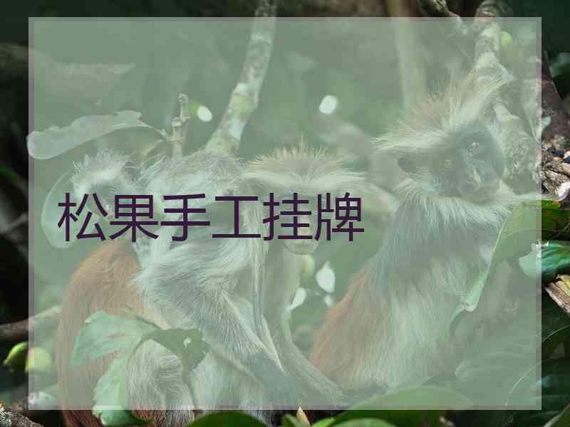 松果手工挂牌