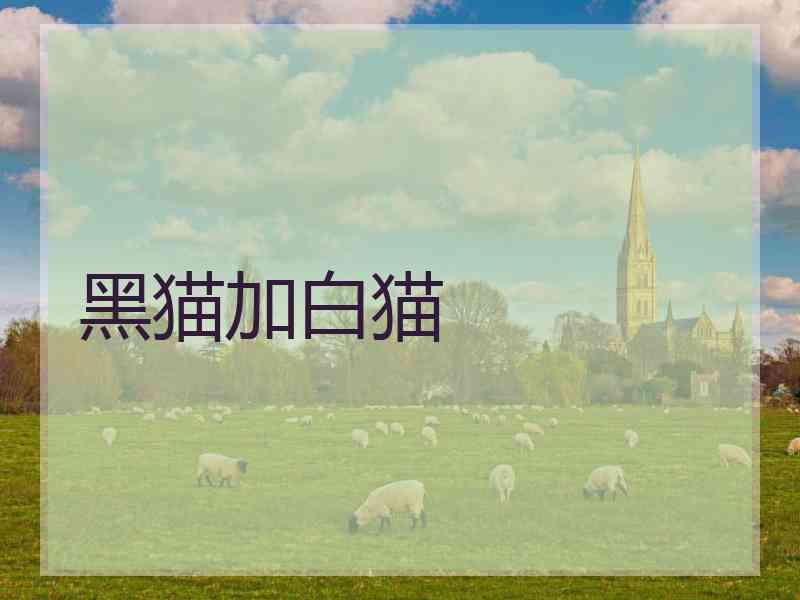 黑猫加白猫