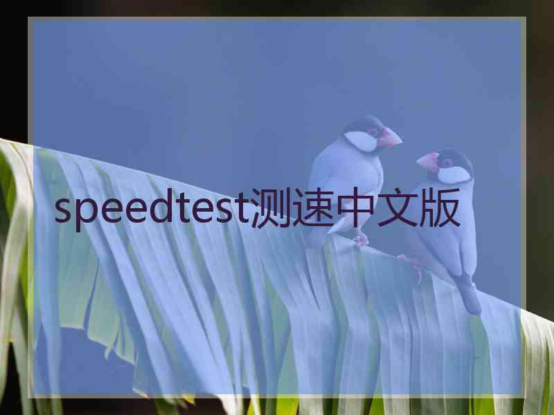speedtest测速中文版
