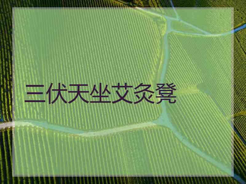 三伏天坐艾灸凳