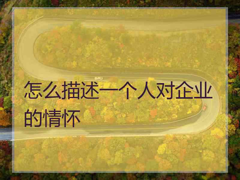 怎么描述一个人对企业的情怀
