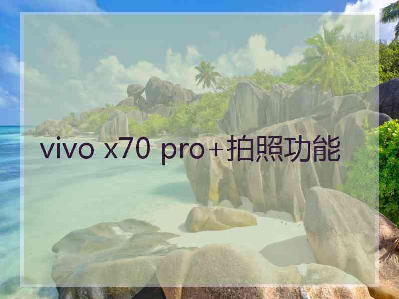 vivo x70 pro+拍照功能