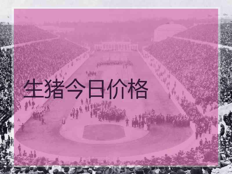 生猪今日价格
