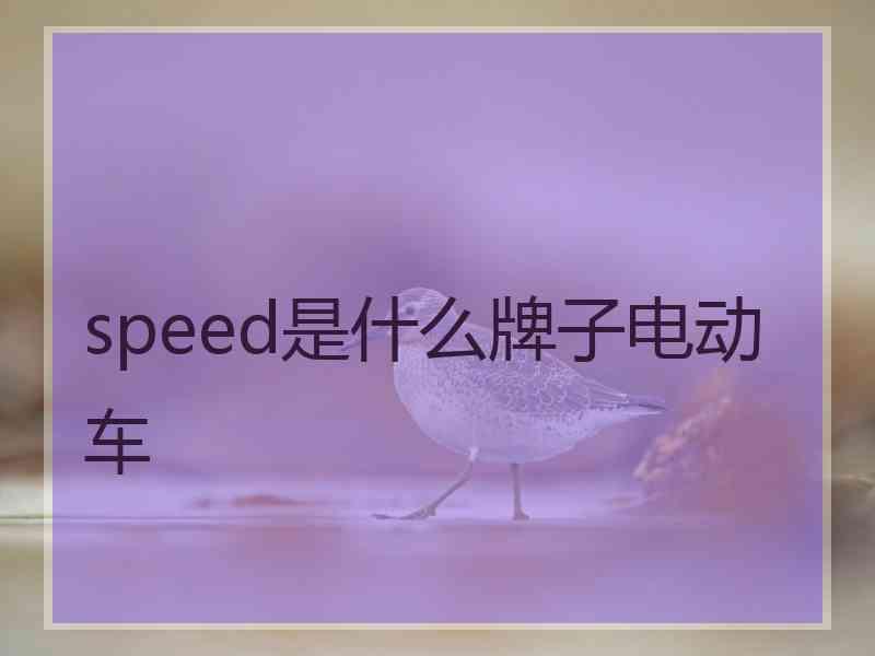 speed是什么牌子电动车