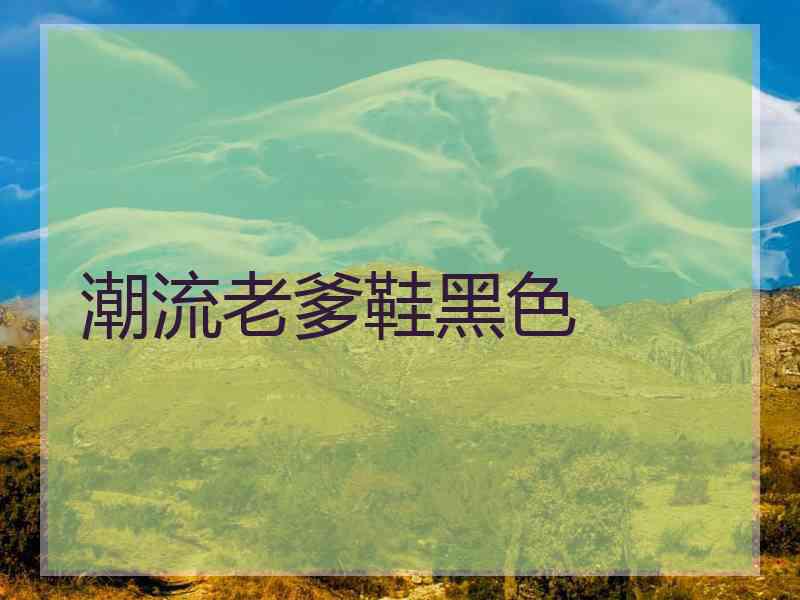 潮流老爹鞋黑色