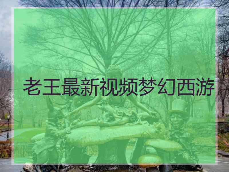 老王最新视频梦幻西游