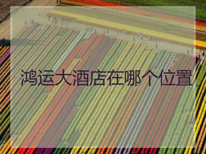 鸿运大酒店在哪个位置