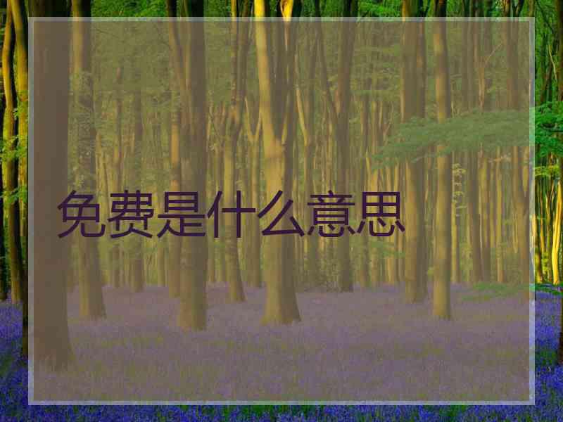 免费是什么意思