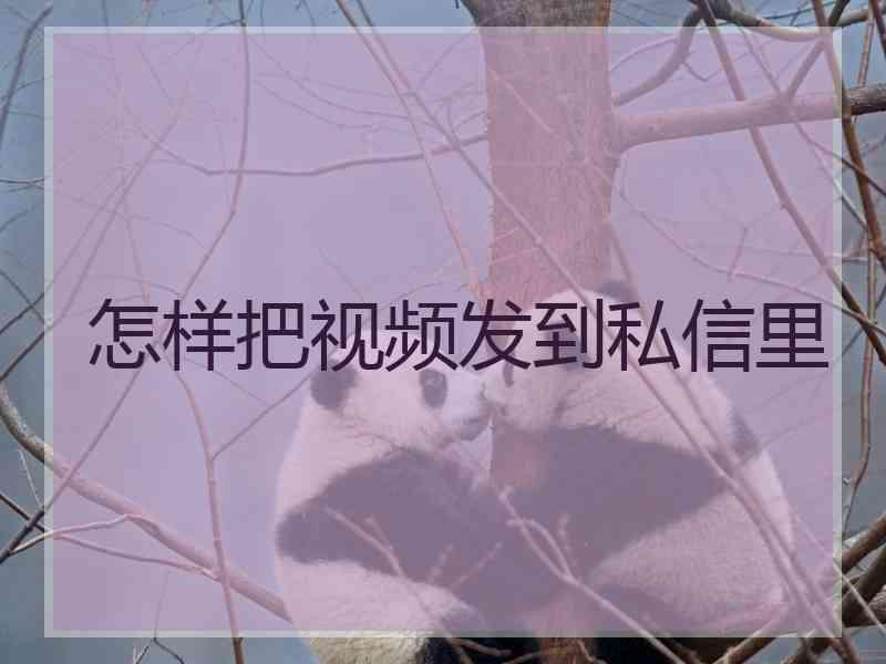 怎样把视频发到私信里
