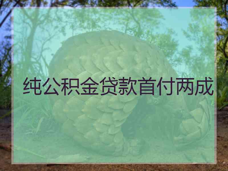 纯公积金贷款首付两成