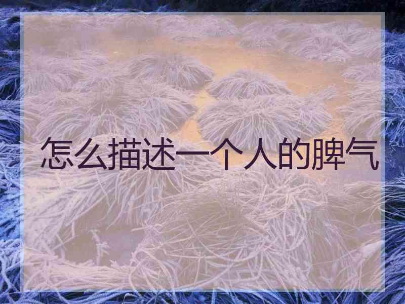 怎么描述一个人的脾气