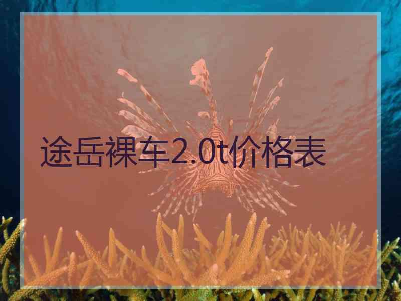 途岳裸车2.0t价格表