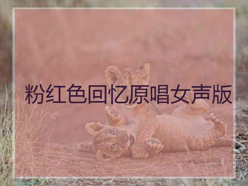 粉红色回忆原唱女声版