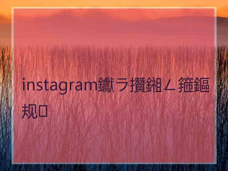 instagram钀ラ攢鎺ㄥ箍鏂规