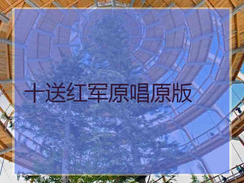 十送红军原唱原版
