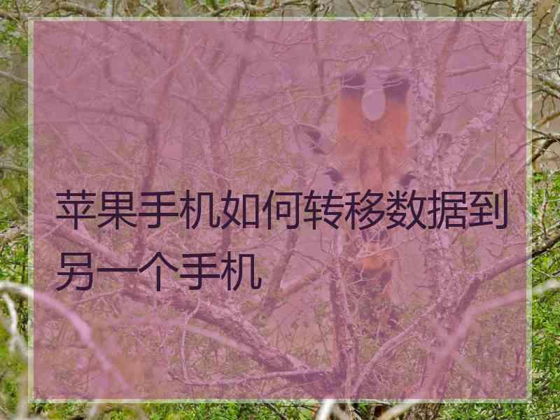 苹果手机如何转移数据到另一个手机