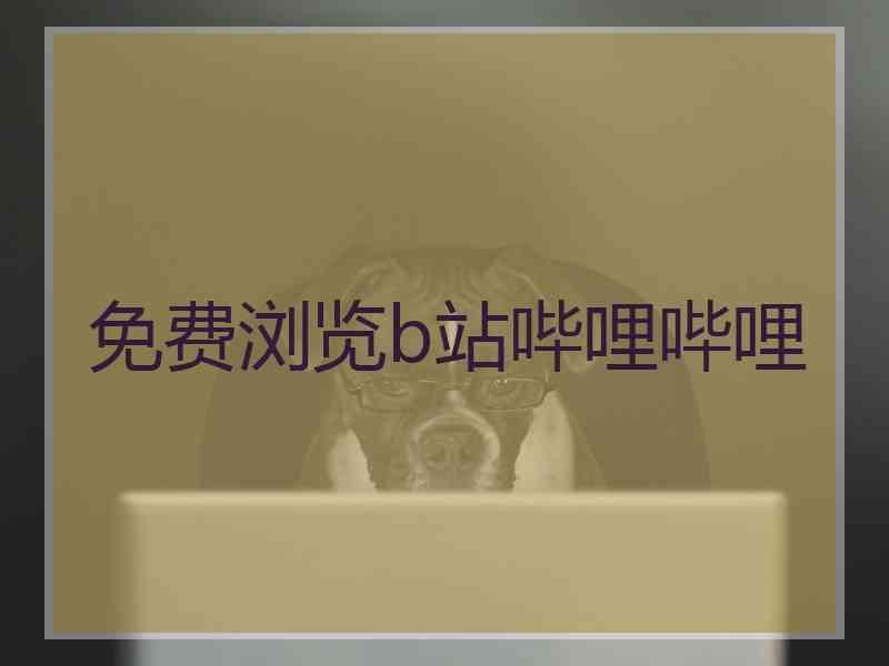 免费浏览b站哔哩哔哩