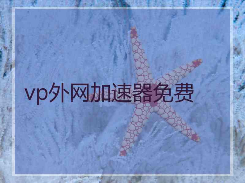 vp外网加速器免费