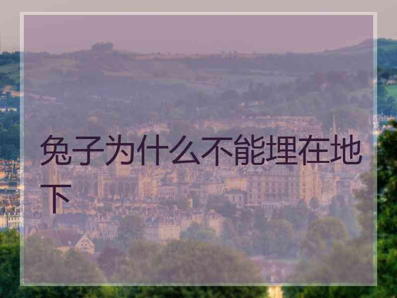 兔子为什么不能埋在地下