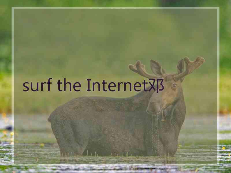 surf the Internet邓
