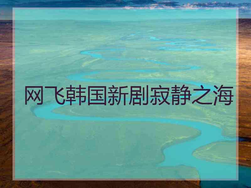 网飞韩国新剧寂静之海