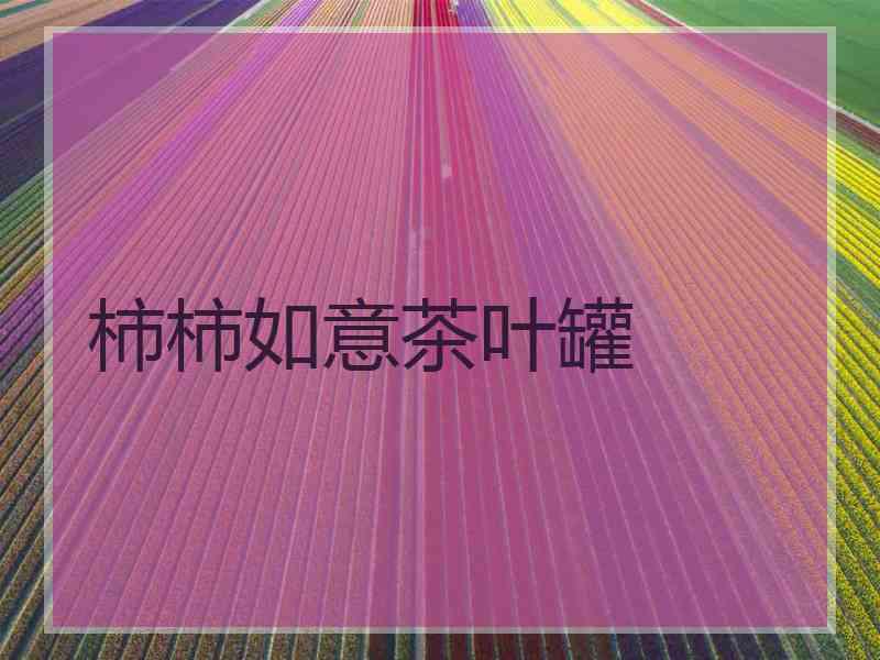 柿柿如意茶叶罐