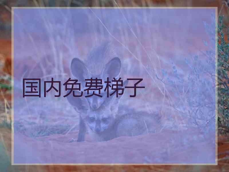 国内免费梯子