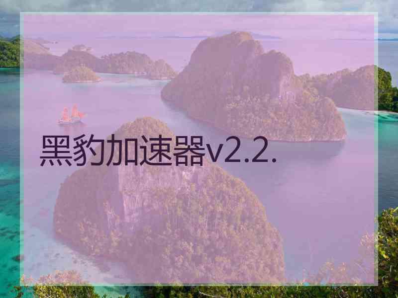 黑豹加速器v2.2.