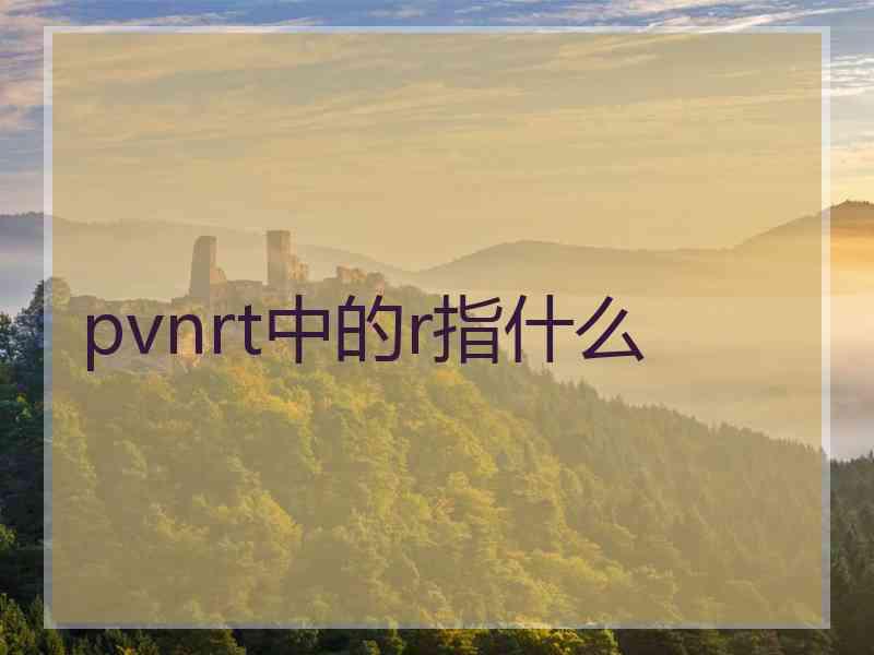 pvnrt中的r指什么