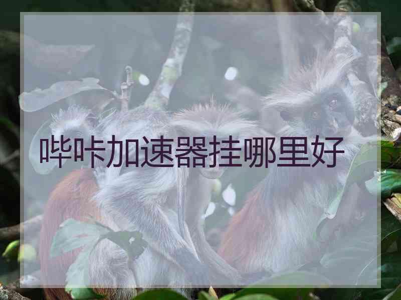 哔咔加速器挂哪里好