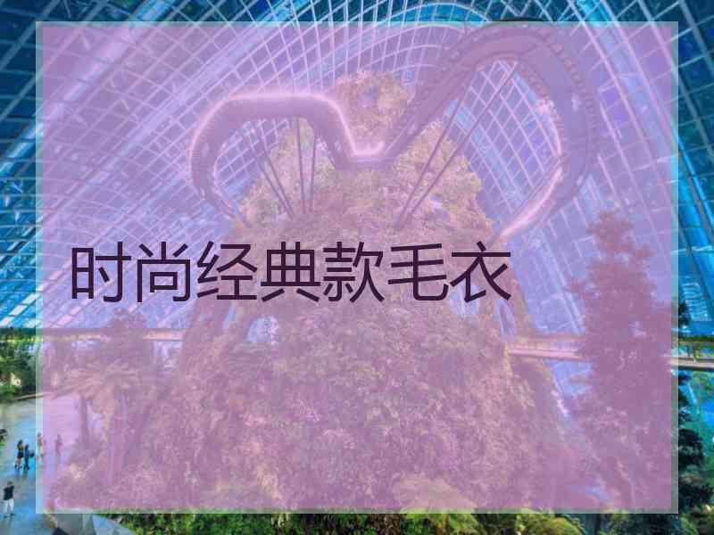 时尚经典款毛衣
