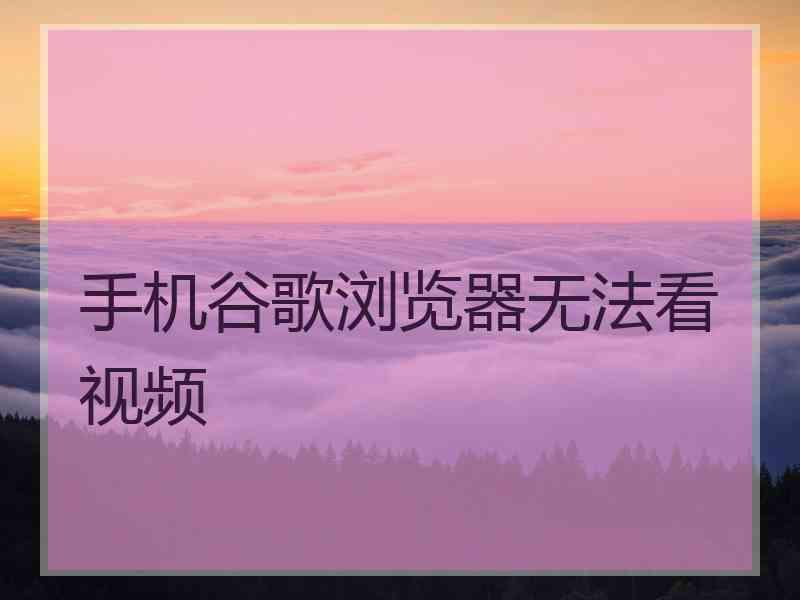 手机谷歌浏览器无法看视频