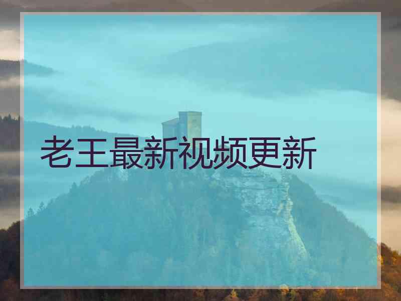 老王最新视频更新