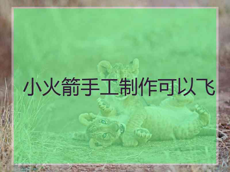 小火箭手工制作可以飞