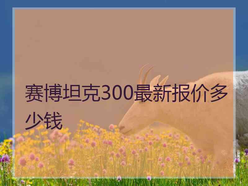 赛博坦克300最新报价多少钱