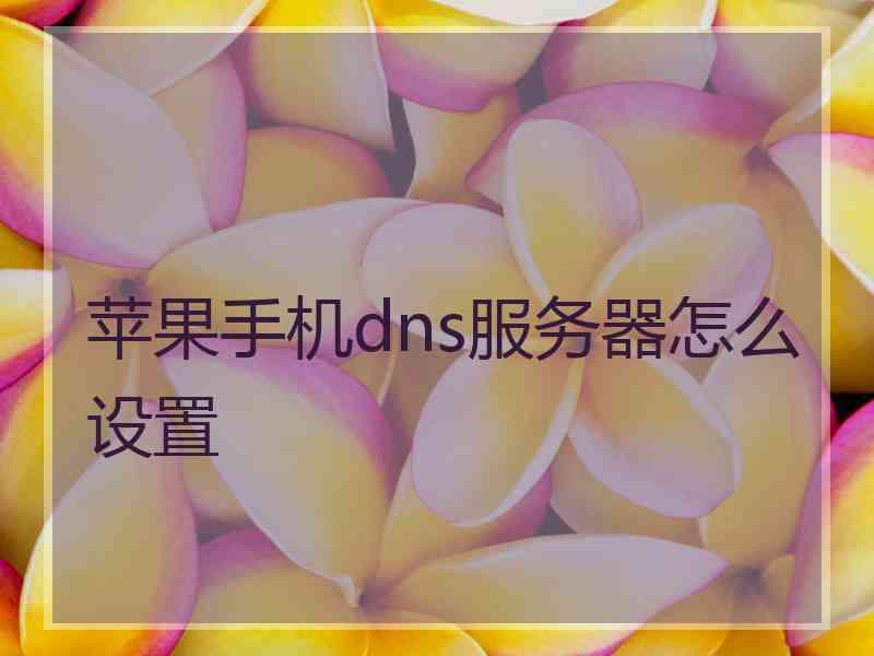 苹果手机dns服务器怎么设置