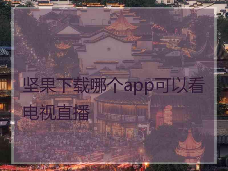坚果下载哪个app可以看电视直播
