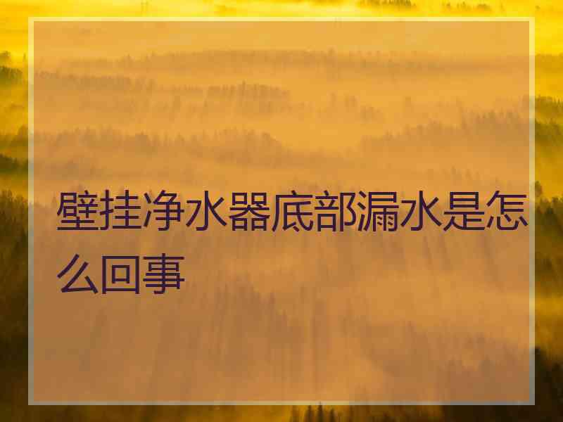 壁挂净水器底部漏水是怎么回事