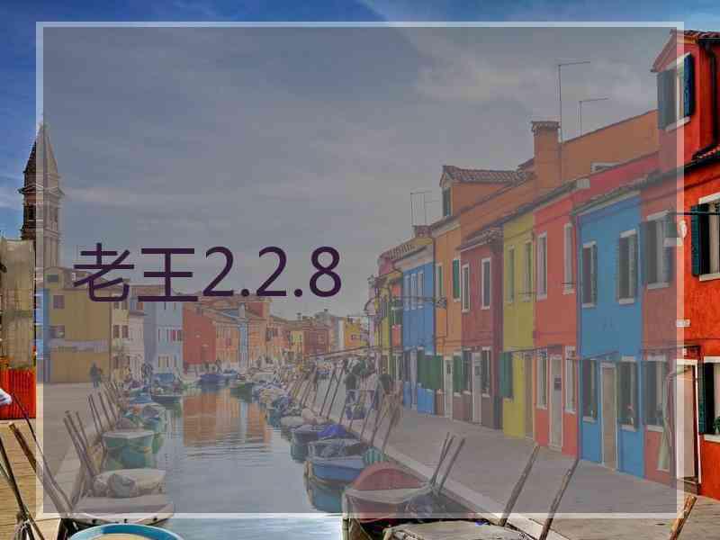 老王2.2.8