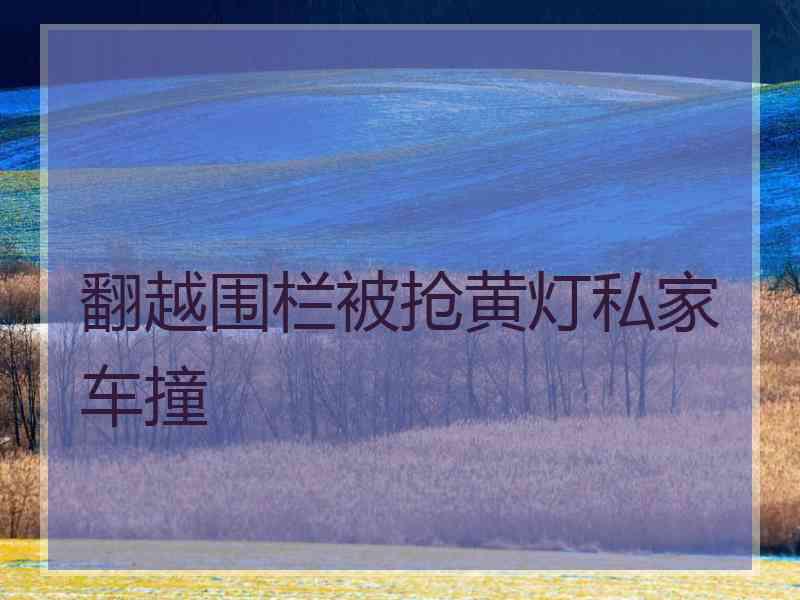 翻越围栏被抢黄灯私家车撞