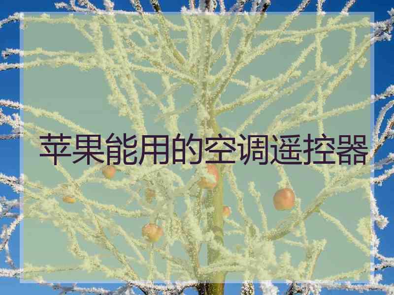苹果能用的空调遥控器
