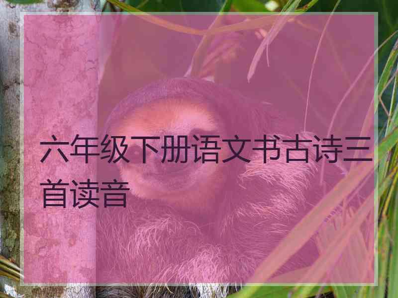 六年级下册语文书古诗三首读音