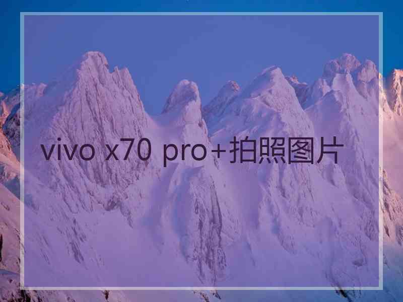 vivo x70 pro+拍照图片