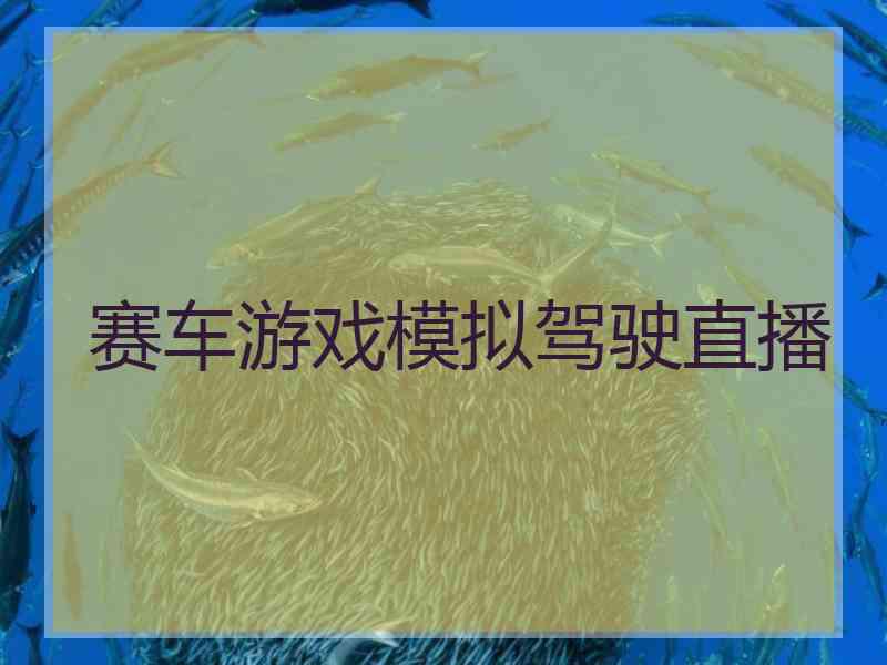 赛车游戏模拟驾驶直播