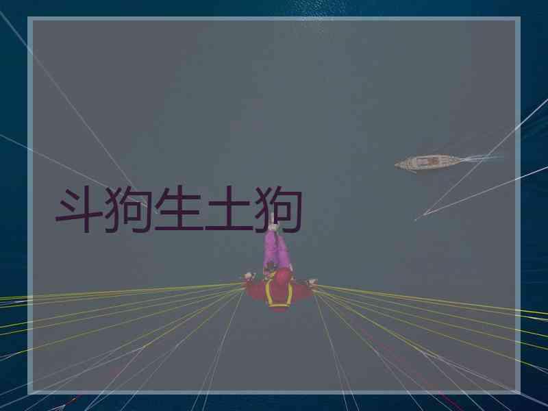斗狗生土狗
