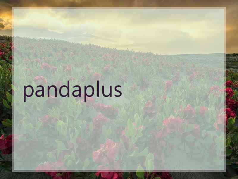 pandaplus