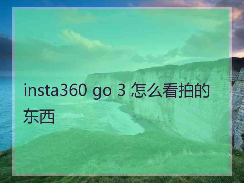 insta360 go 3 怎么看拍的东西